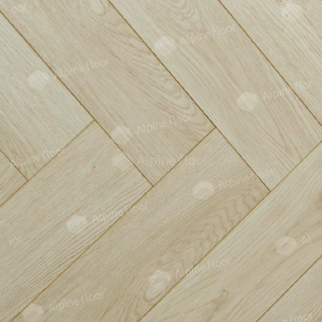 30/img_698fd83c05c2d